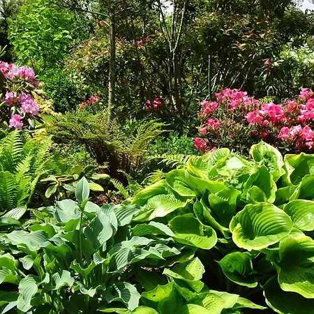 Le Clos Saint-gilles