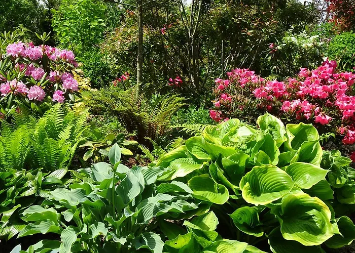 Le Clos Saint-gilles